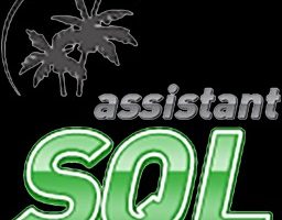 SoftTree SQL Assistant v12.1.279 Activation Key Download